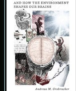 Eco Neurobiology and How the Environment Shapes Our Brains