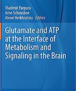 Glutamate and ATP at the Interface of Metabolism and Signaling in the Brain