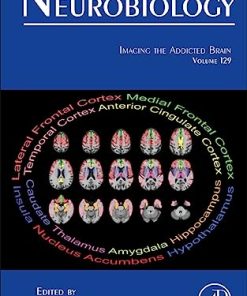 Imaging the Addicted Brain