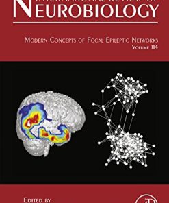 Modern Concepts of Focal Epileptic Networks