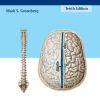 Greenbergs Handbook of Neurosurgery 10th Edition