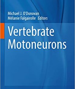 Vertebrate Motoneurons
