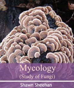 Mycology By Shawn Sheehan