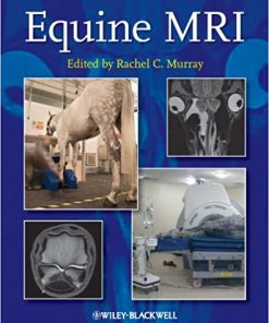Equine MRI