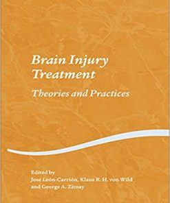Brain Injury Treatment Theories and Practices