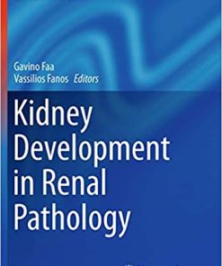 Kidney Development in Renal Pathology