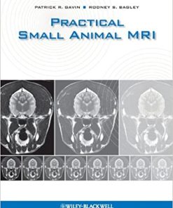 Practical Small Animal MRI