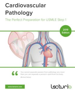 Cardiovascular Pathology The Perfect Preparation for USMLE Step 1