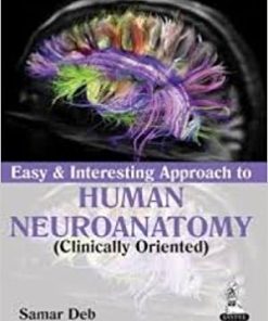 Easy and Interesting Approach to Human Neuroanatomy