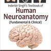 Inderbir Singh’s Textbook of Human Neuroanatomy Fundamental and Clinical 10th Edition