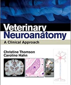 Veterinary Neuroanatomy A Clinical Approach
