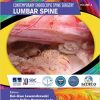 Contemporary Endoscopic Spine Surgery Volume 2 Lumbar Spine
