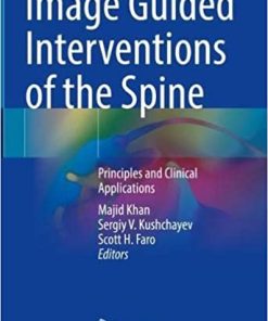 Image Guided Interventions of the Spine Principles and Clinical Applications