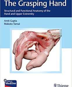 The Grasping Hand Structural and Functional Anatomy of the Hand and Upper Extremity