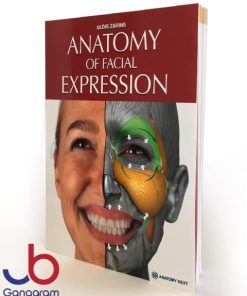 Anatomy of Facial Expression