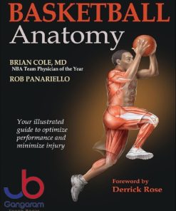 Basketball anatomy