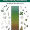 Algae Anatomy Biochemistry and Biotechnology