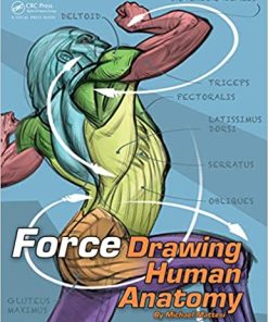 Force Drawing Human Anatomy