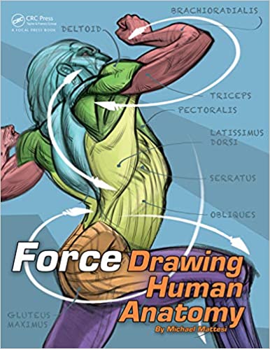 Force Drawing Human Anatomy