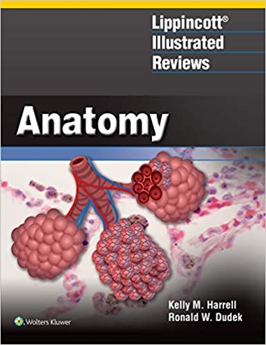 Lippincott Illustrated Reviews Anatomy