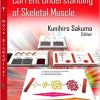Basic Biology and Current Understanding of Skeletal Muscle