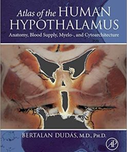 Atlas of the Human Hypothalamus Anatomy Blood Supply Myelo and Cytoarchitecture