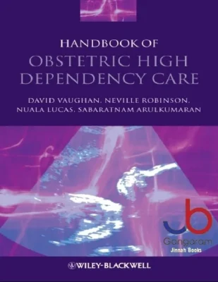 Handbook of Obstetric High Dependency Care 1st Edition